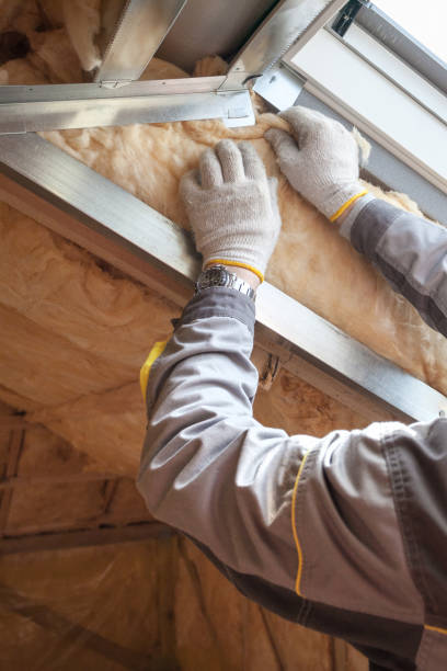 Best Blown-in Insulation in Pimlico, SC